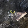 Porta botellas de silicona para transportar bebidas de manera segura y fiable. One Shot. Immersvs. Pesca submarina, natación, apnea, buceo, actividades acuáticas.