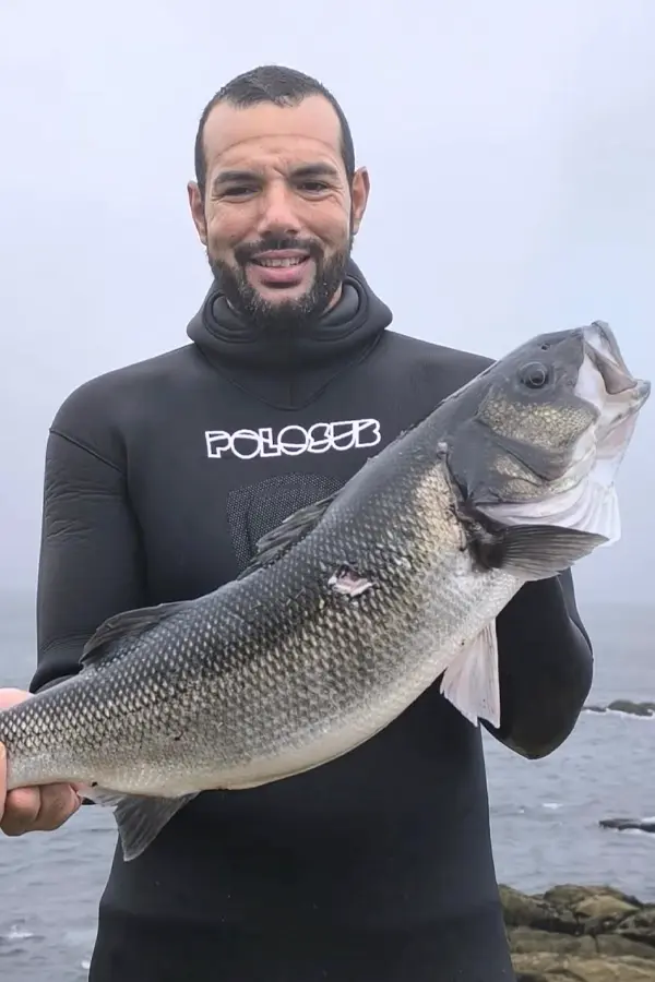 Immersvs-family-miguel-galicia-polosub-lubina-pesca-submarina