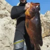 Tritonsub-traje-forrado-nylon-pesca-submarina-apnea-yamamoto-39-5mm-7mm-10mm-immersvs