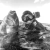 Pescasub con dentón señala un soporte vertical sujetado en la máscara de pesca submarina